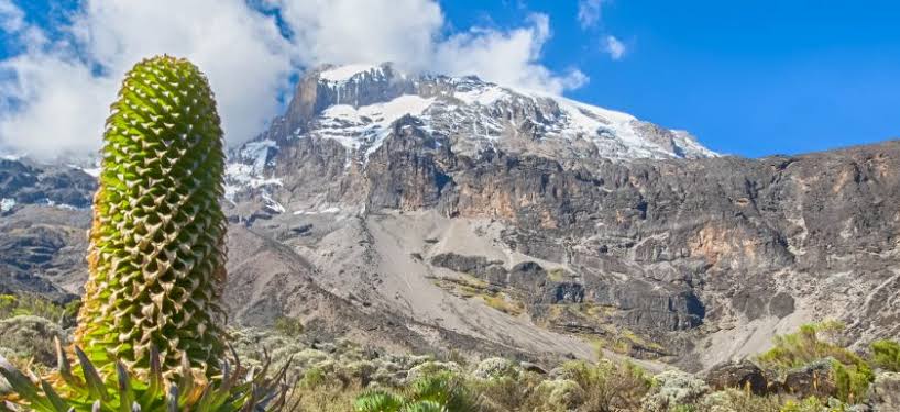 Mount Kilimanjaro Adventure